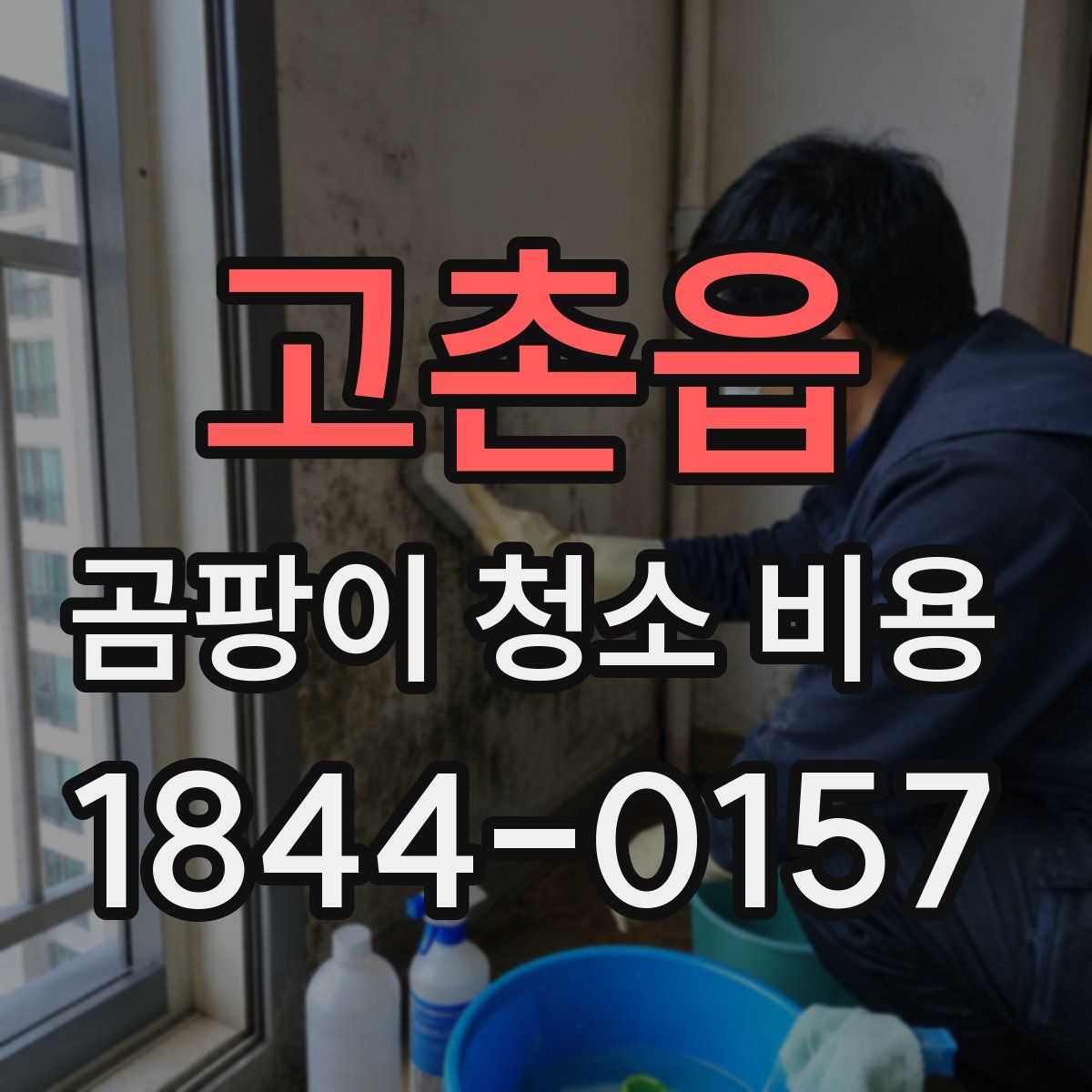 고촌읍 곰팡이 청소 비용