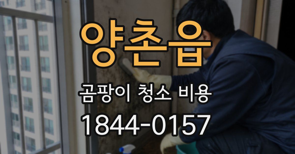 양촌읍 곰팡이 청소 비용