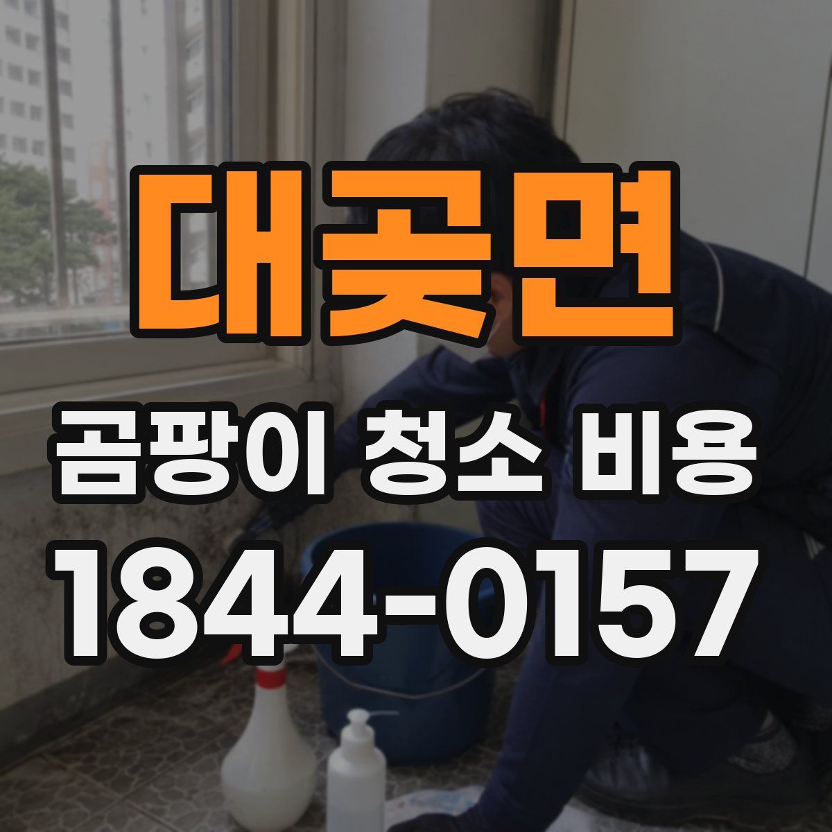 대곶면 곰팡이 청소 비용