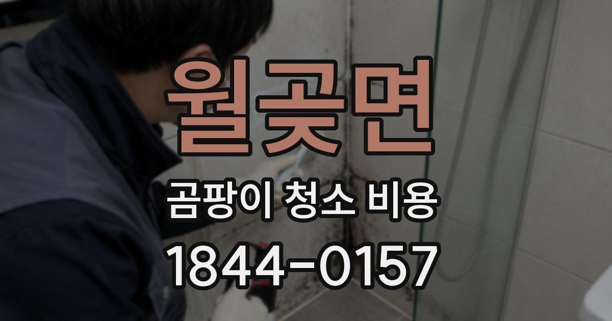 월곶면 곰팡이 청소 비용