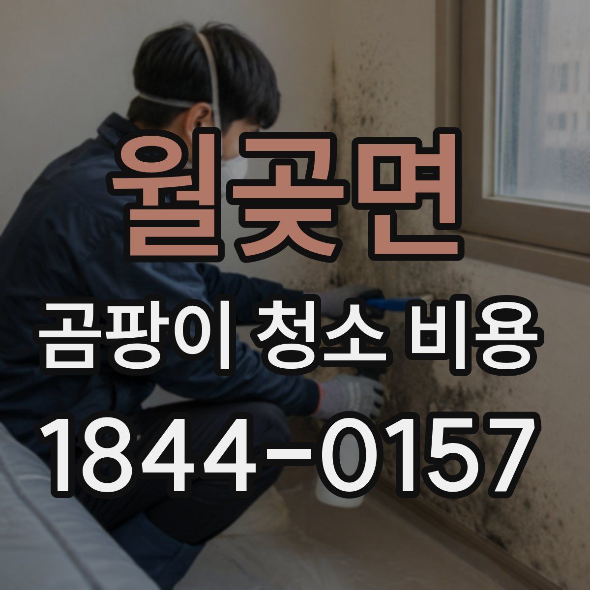 월곶면 곰팡이 청소 비용