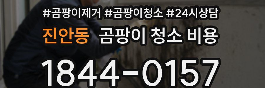 진안동 곰팡이 청소 비용