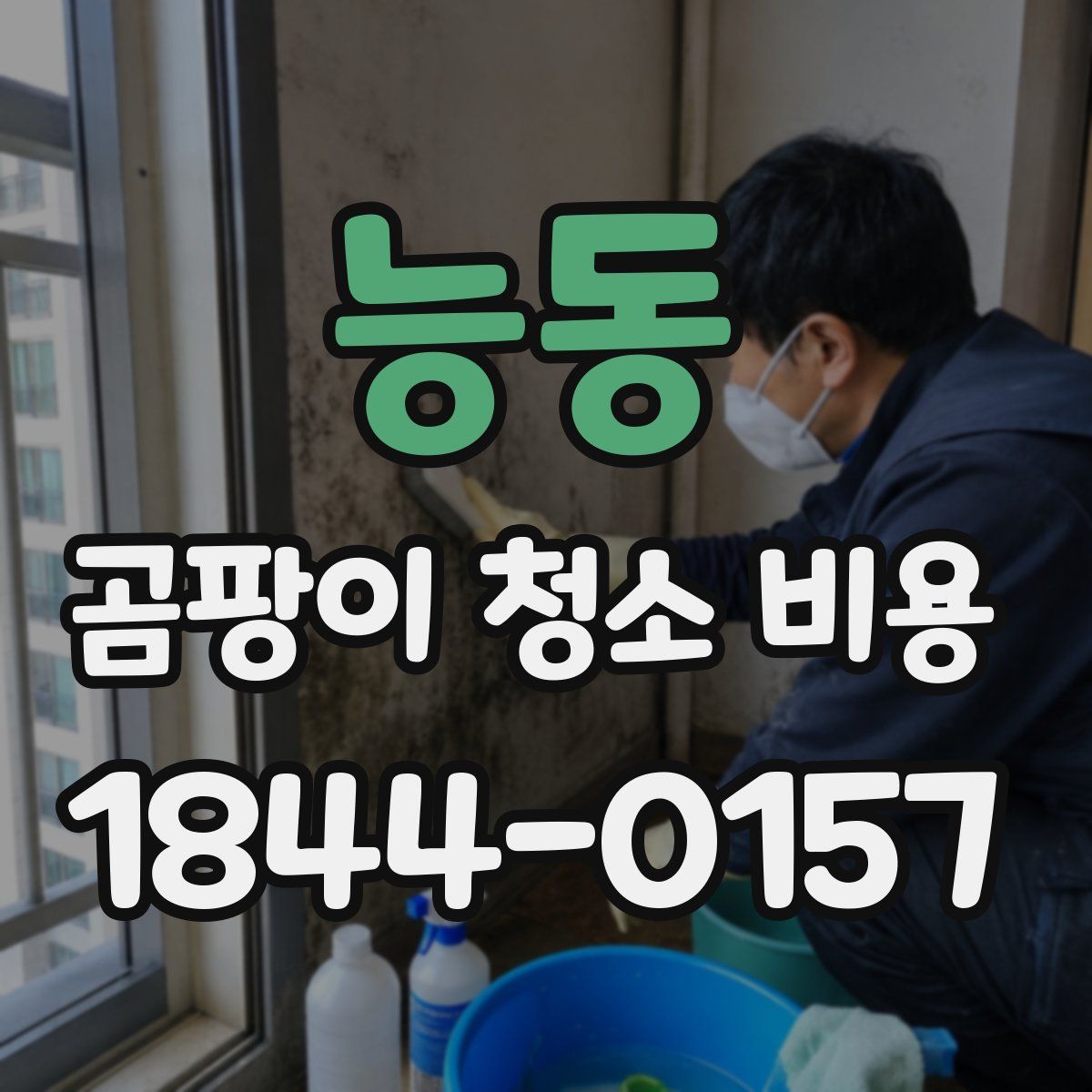 능동 곰팡이 청소 비용