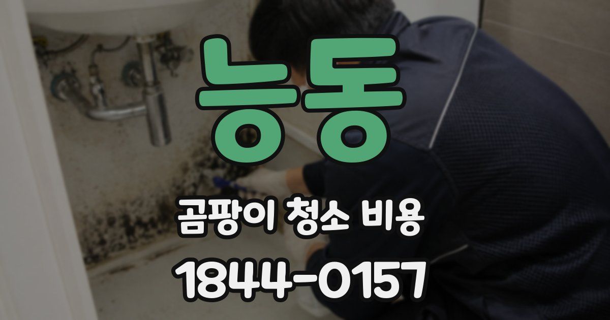 능동 곰팡이 청소 비용