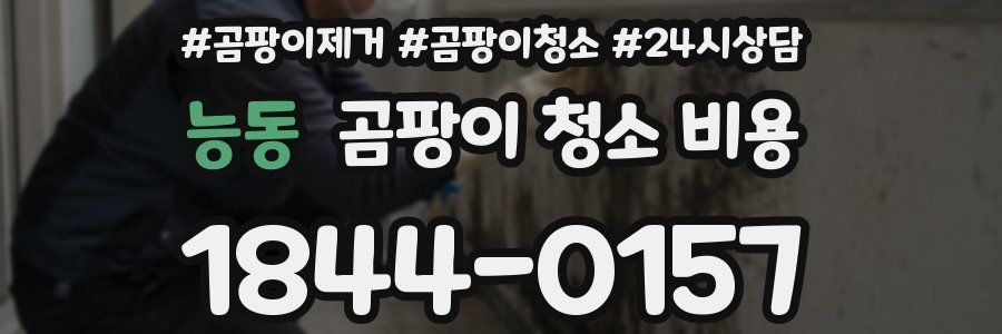능동 곰팡이 청소 비용