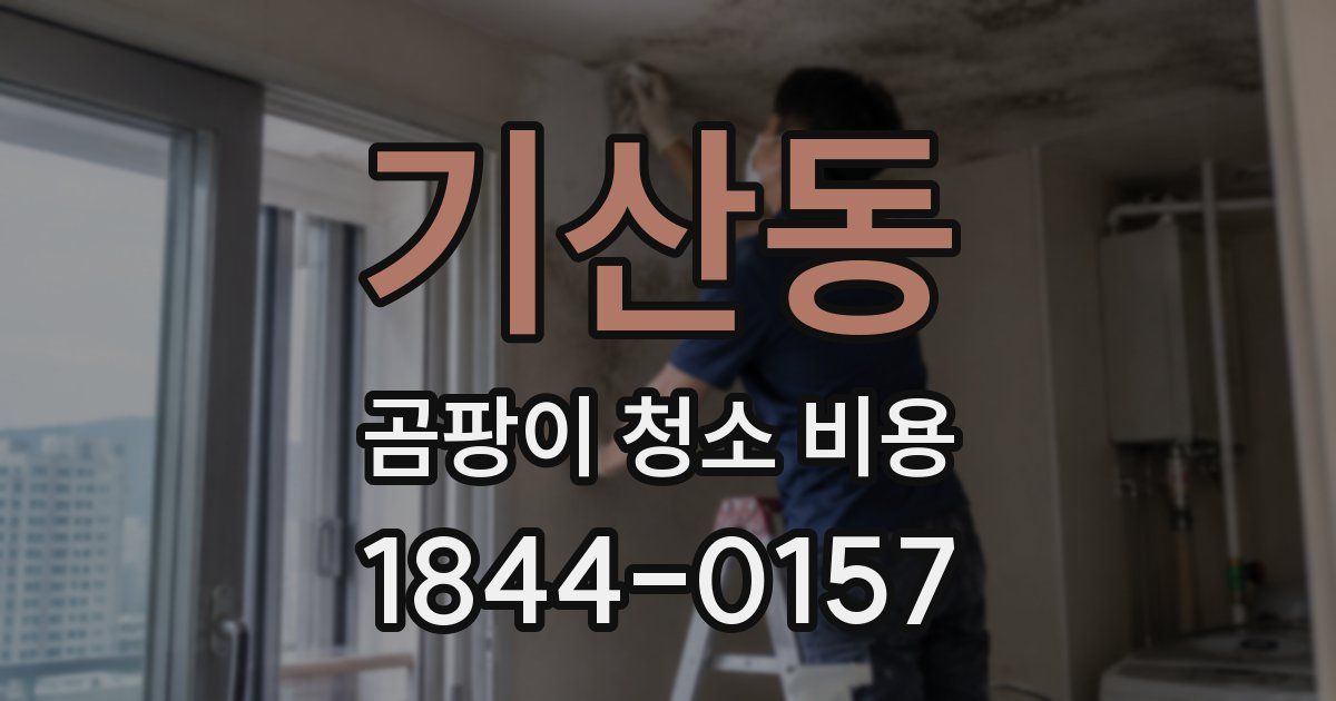 기산동 곰팡이 청소 비용