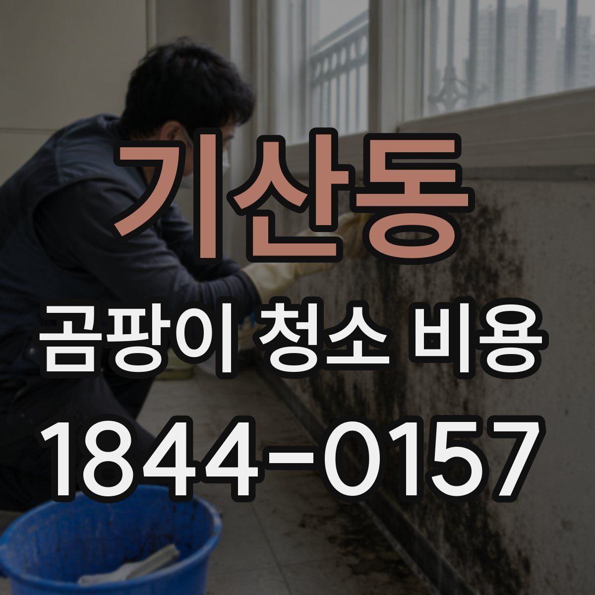 기산동 곰팡이 청소 비용