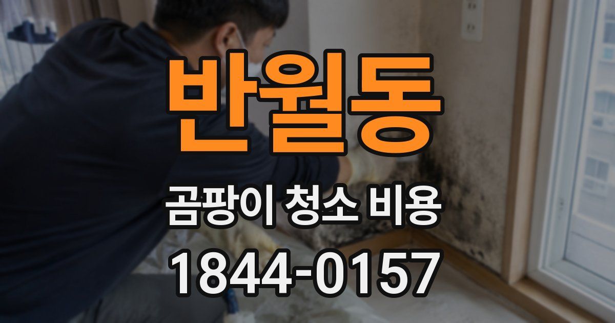 반월동 곰팡이 청소 비용
