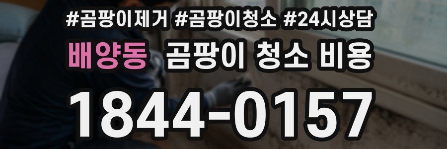 배양동 곰팡이 청소 비용