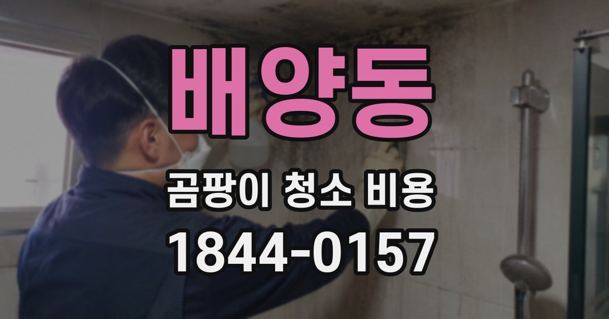 배양동 곰팡이 청소 비용