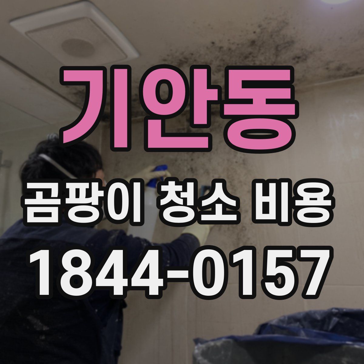 기안동 곰팡이 청소 비용