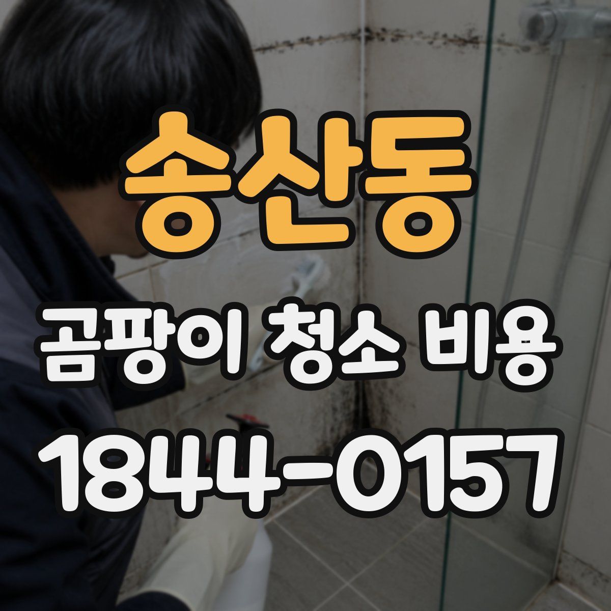송산동 곰팡이 청소 비용