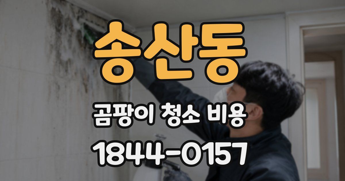 송산동 곰팡이 청소 비용
