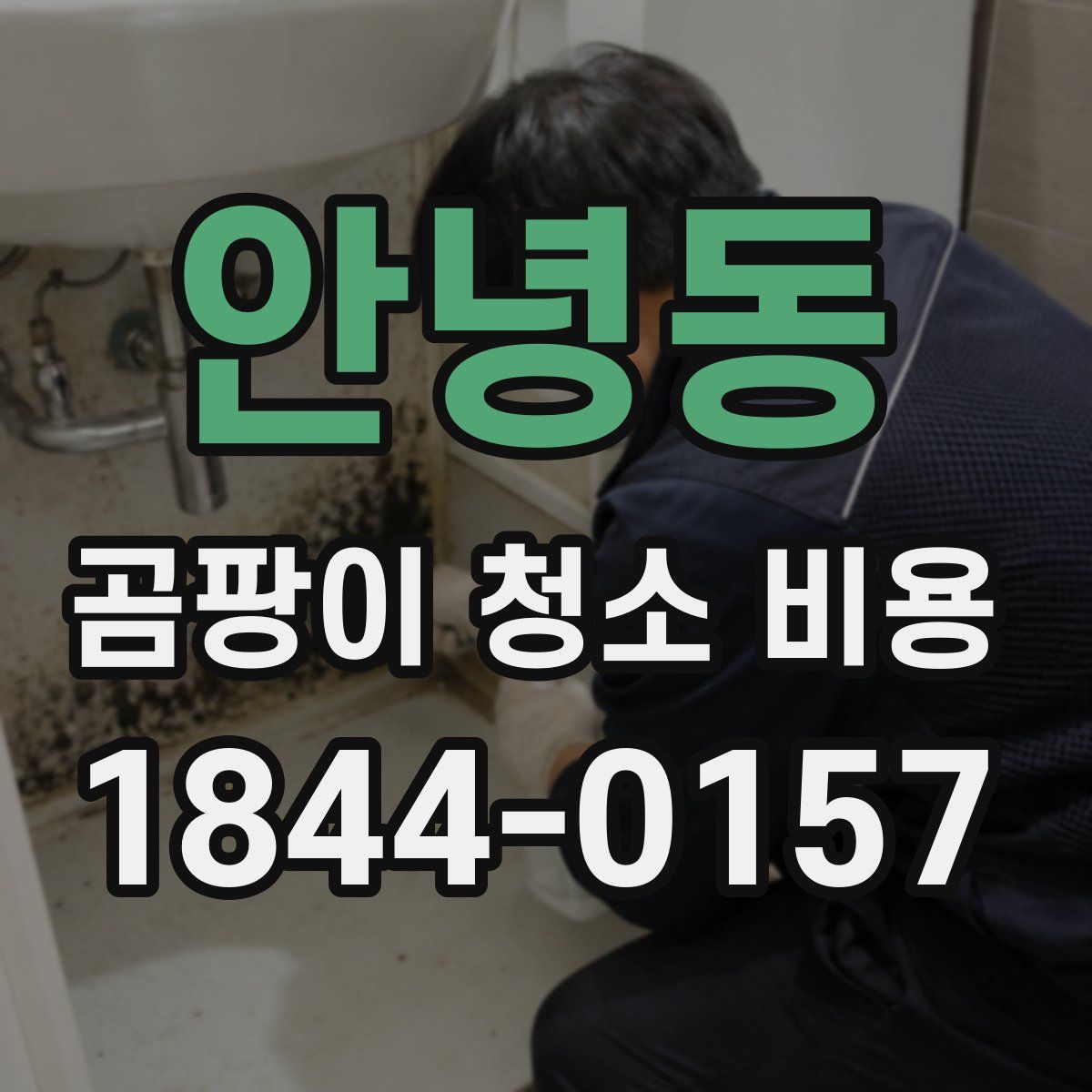 안녕동 곰팡이 청소 비용