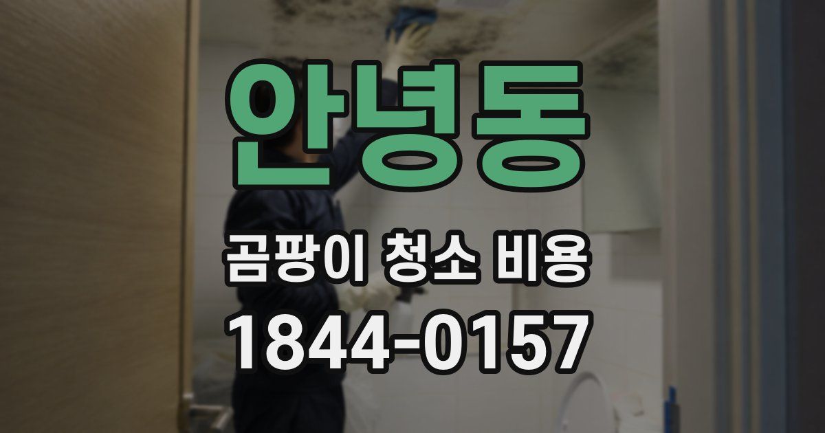 안녕동 곰팡이 청소 비용