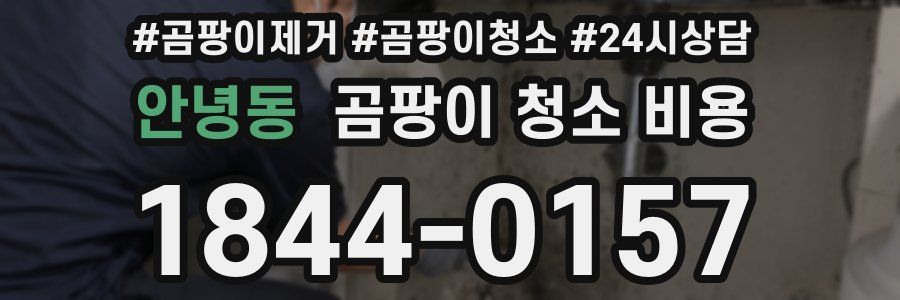 안녕동 곰팡이 청소 비용
