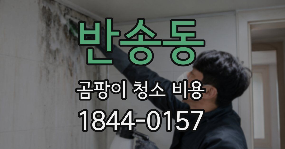 반송동 곰팡이 청소 비용