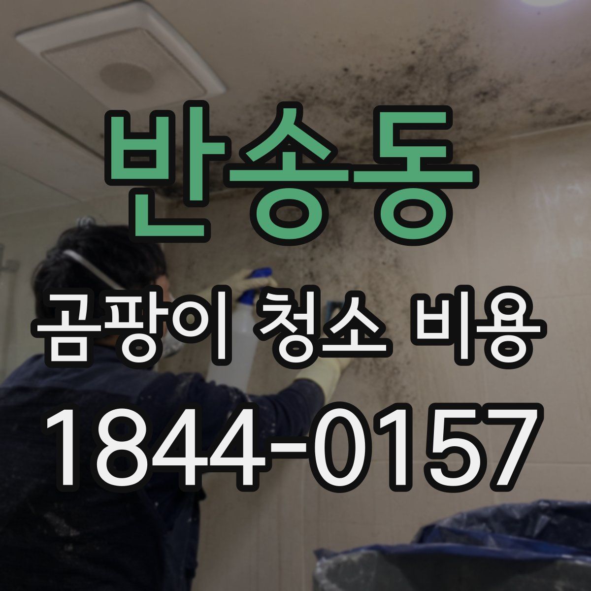반송동 곰팡이 청소 비용
