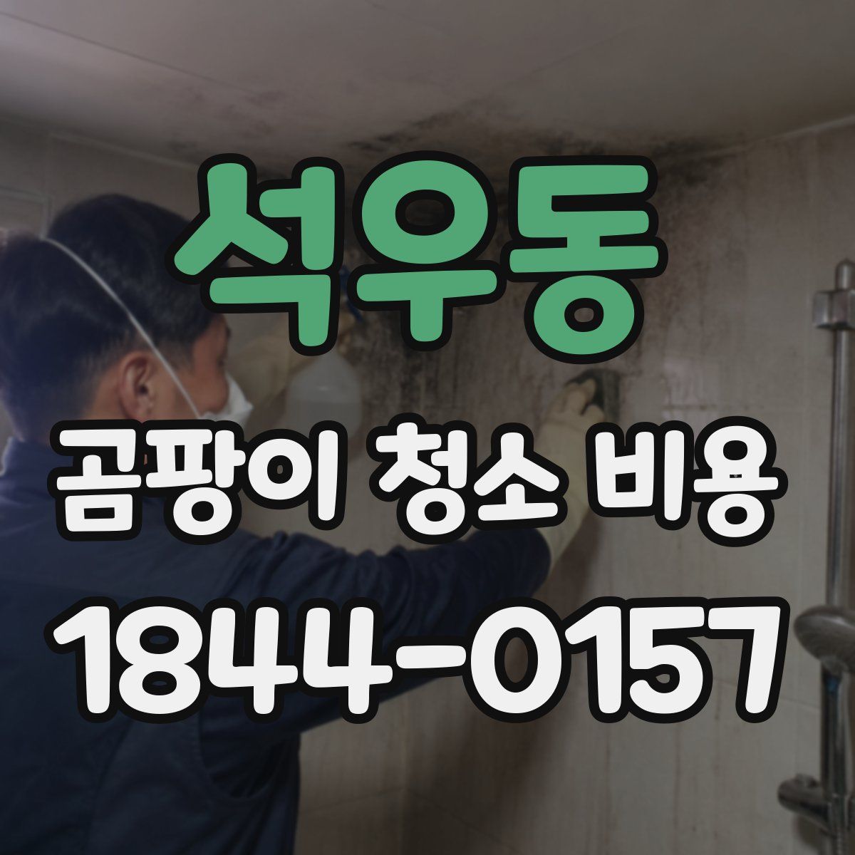 석우동 곰팡이 청소 비용