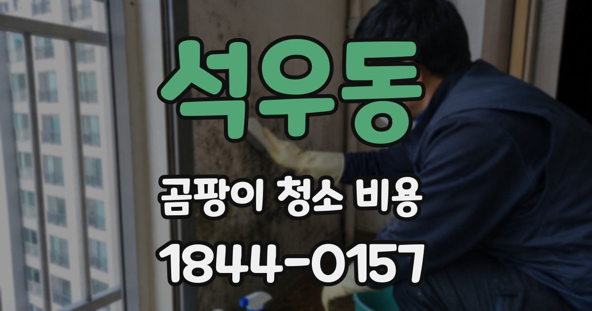 석우동 곰팡이 청소 비용