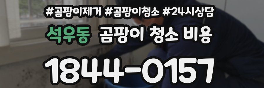 석우동 곰팡이 청소 비용