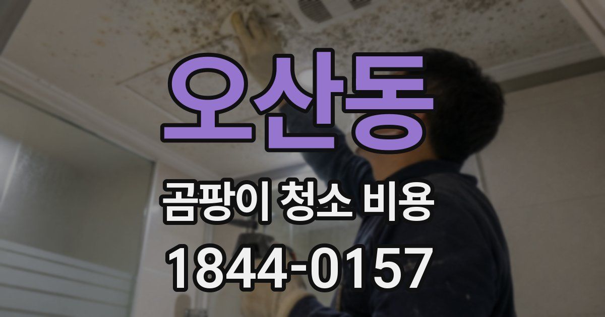 오산동 곰팡이 청소 비용