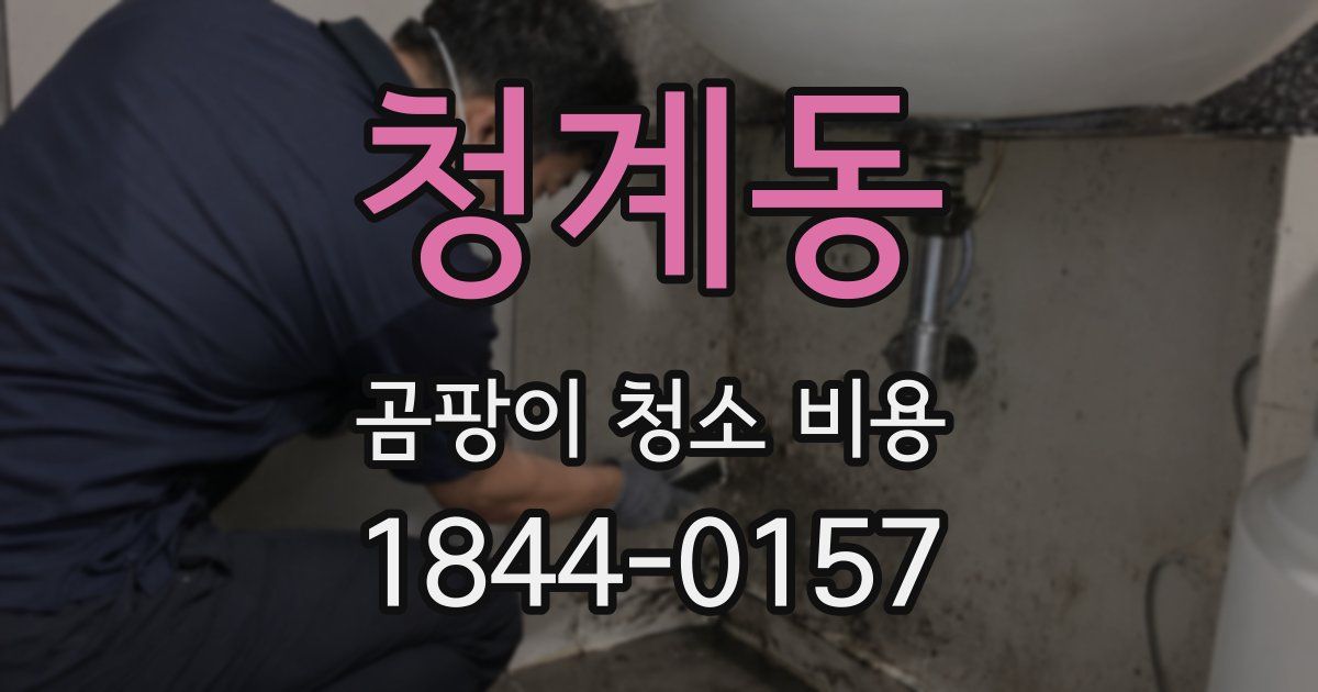 청계동 곰팡이 청소 비용
