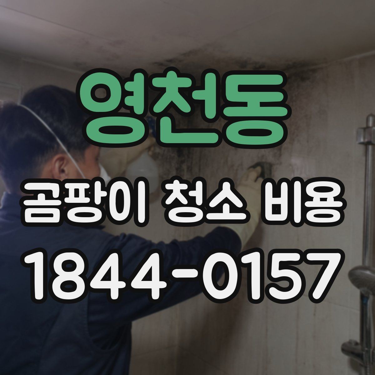 영천동 곰팡이 청소 비용 곰팡이 범위에 따라 달라지는 견적 요소
