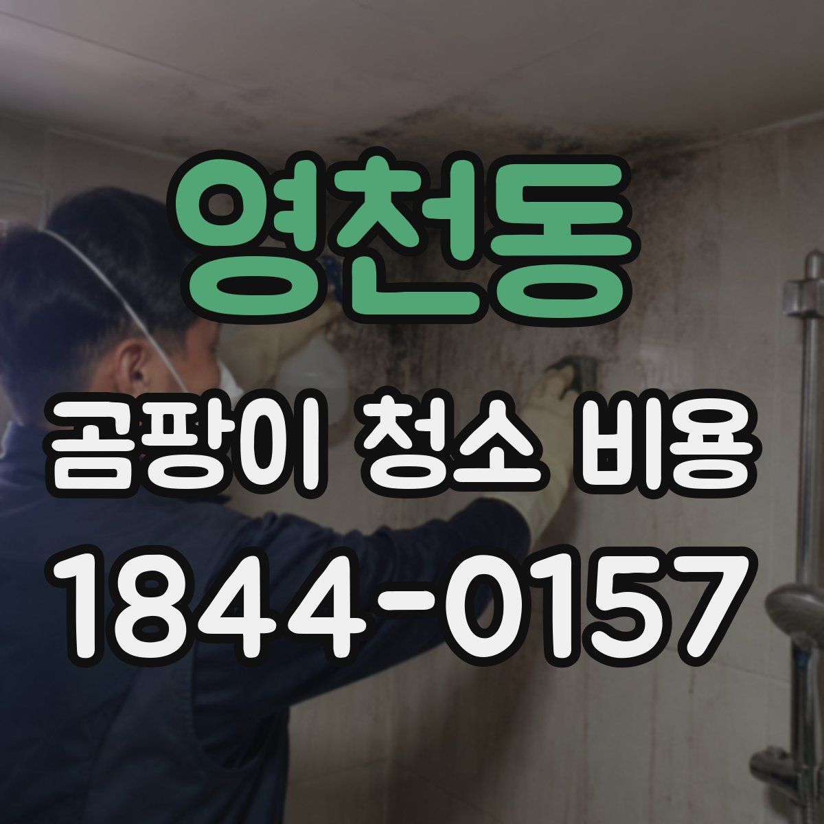 영천동 곰팡이 청소 비용