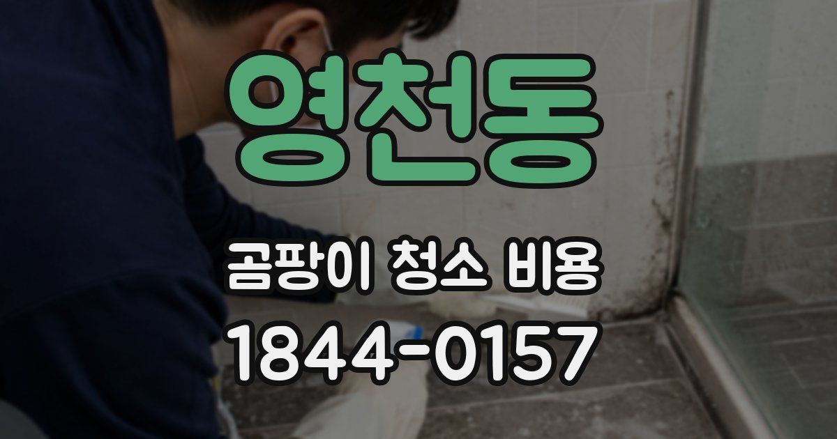 영천동 곰팡이 청소 비용