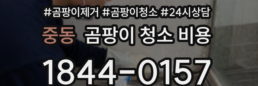 중동 곰팡이 청소 비용