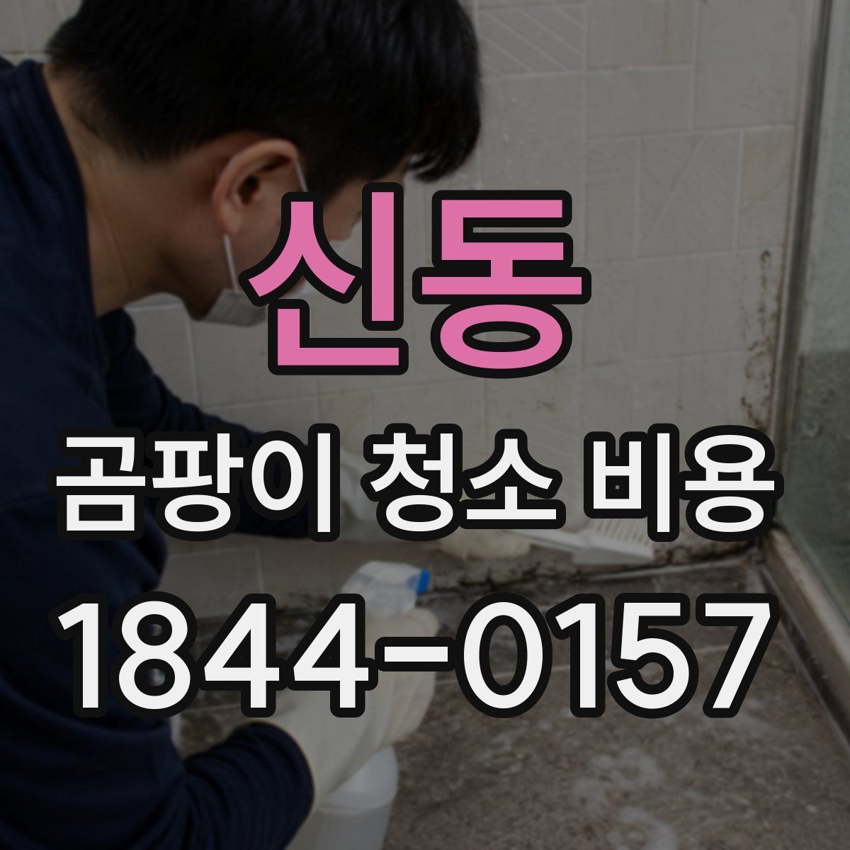 신동 곰팡이 청소 비용