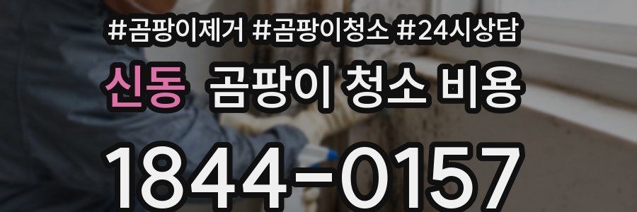 신동 곰팡이 청소 비용