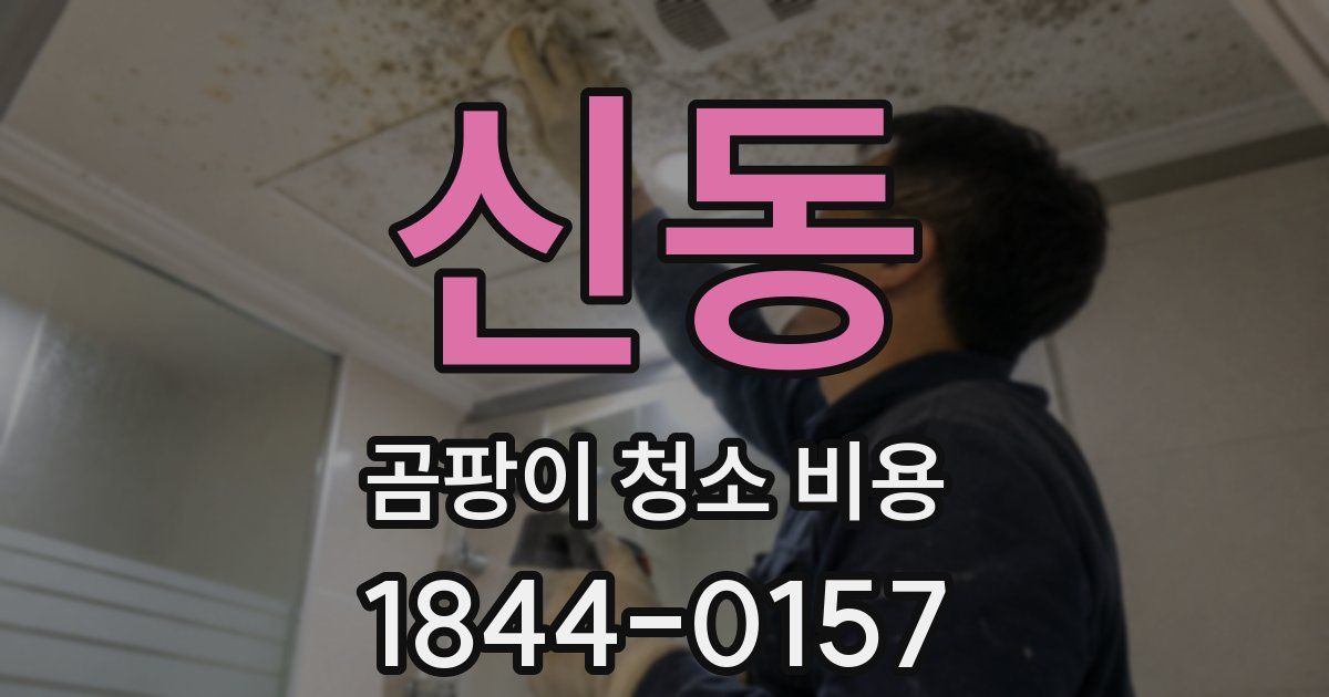 신동 곰팡이 청소 비용