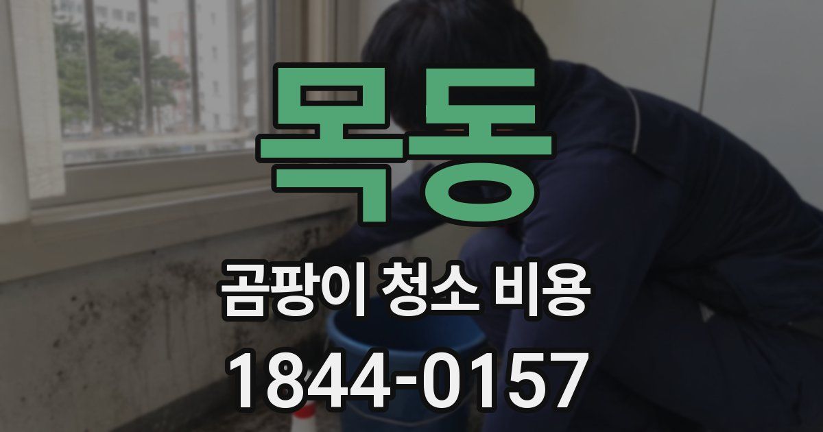 목동 곰팡이 청소 비용