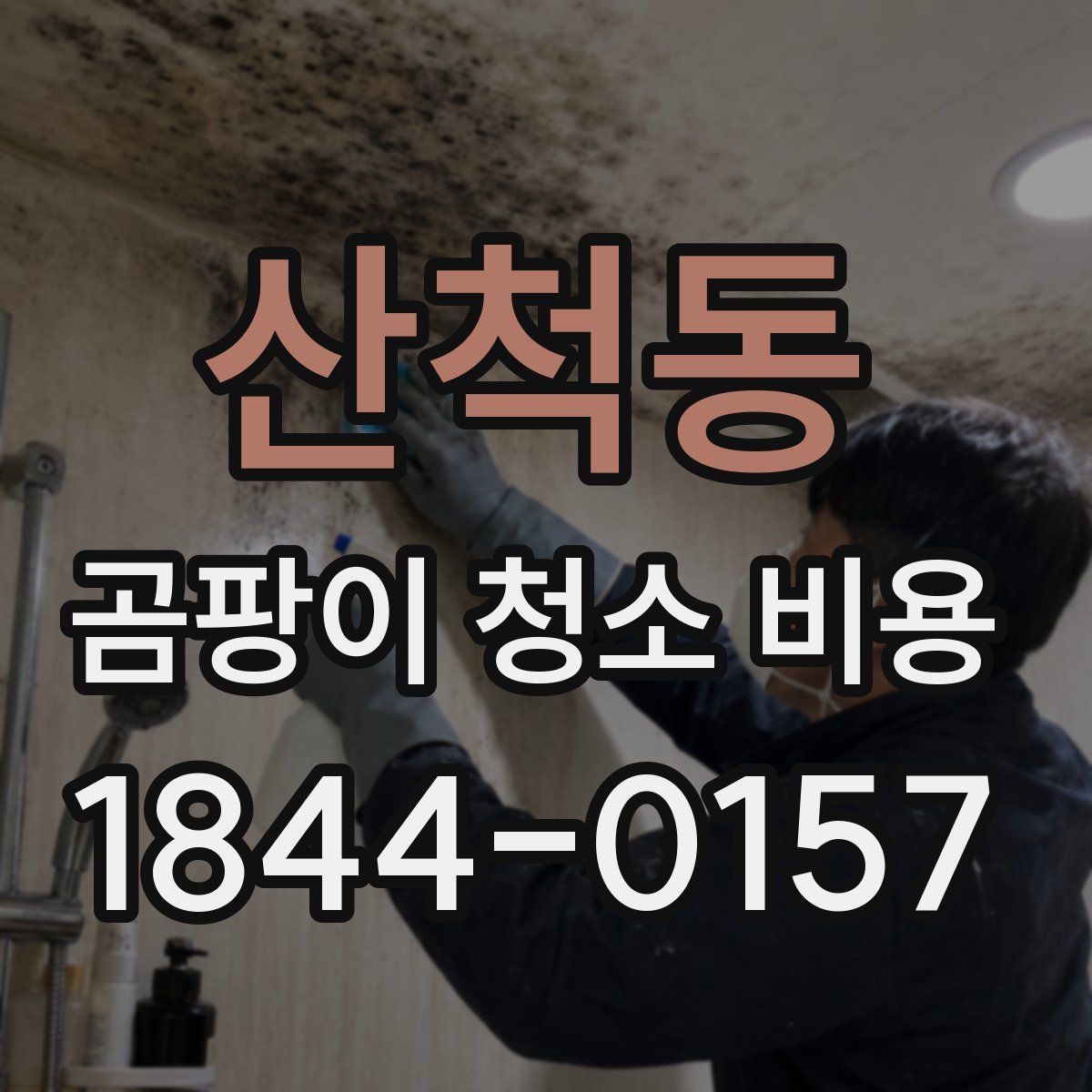 산척동 곰팡이 청소 비용