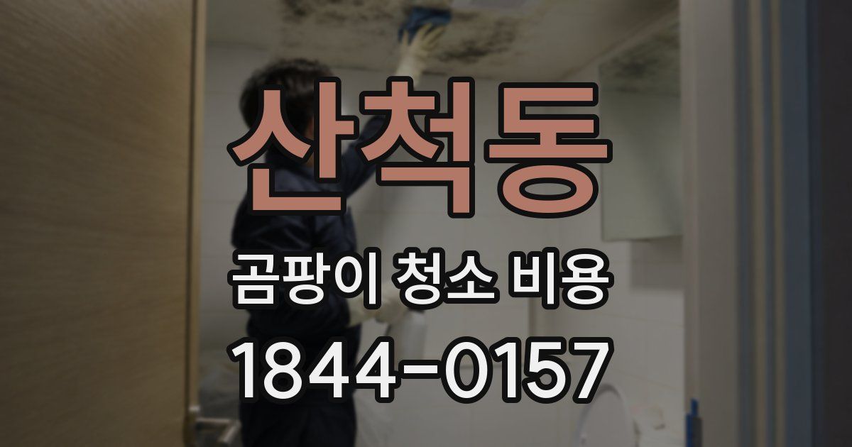 산척동 곰팡이 청소 비용