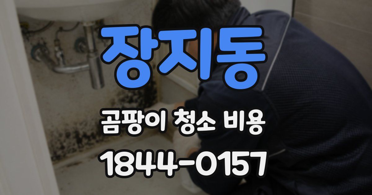 장지동 곰팡이 청소 비용