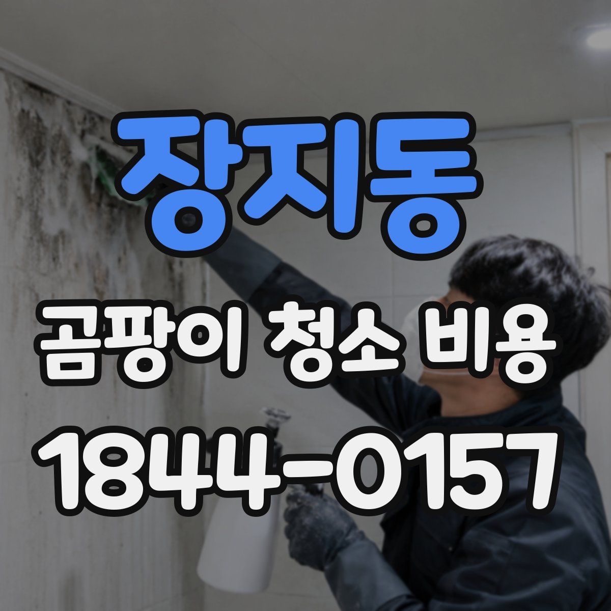 장지동 곰팡이 청소 비용