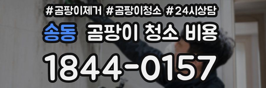 송동 곰팡이 청소 비용