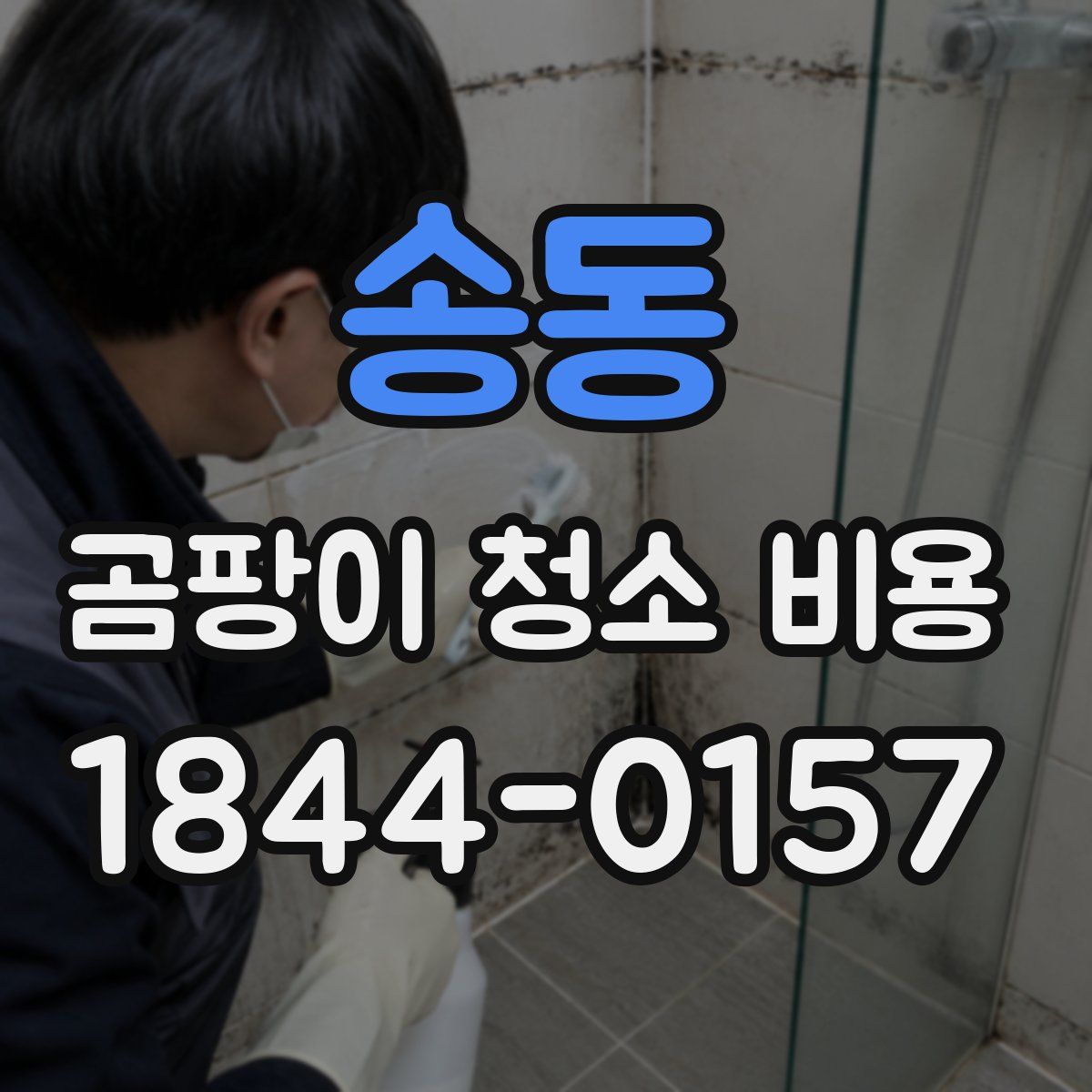 송동 곰팡이 청소 비용