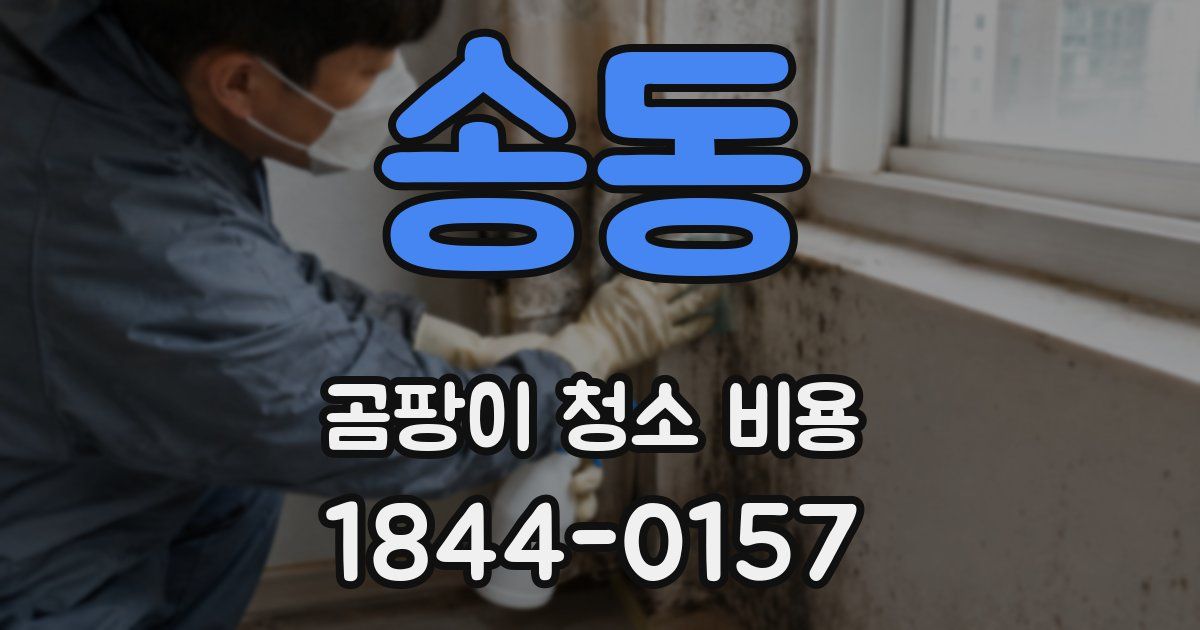 송동 곰팡이 청소 비용