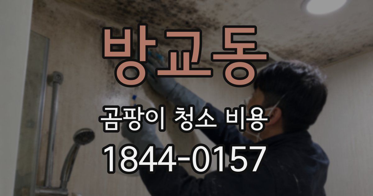 방교동 곰팡이 청소 비용