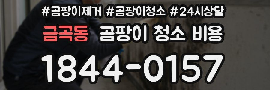 금곡동 곰팡이 청소 비용