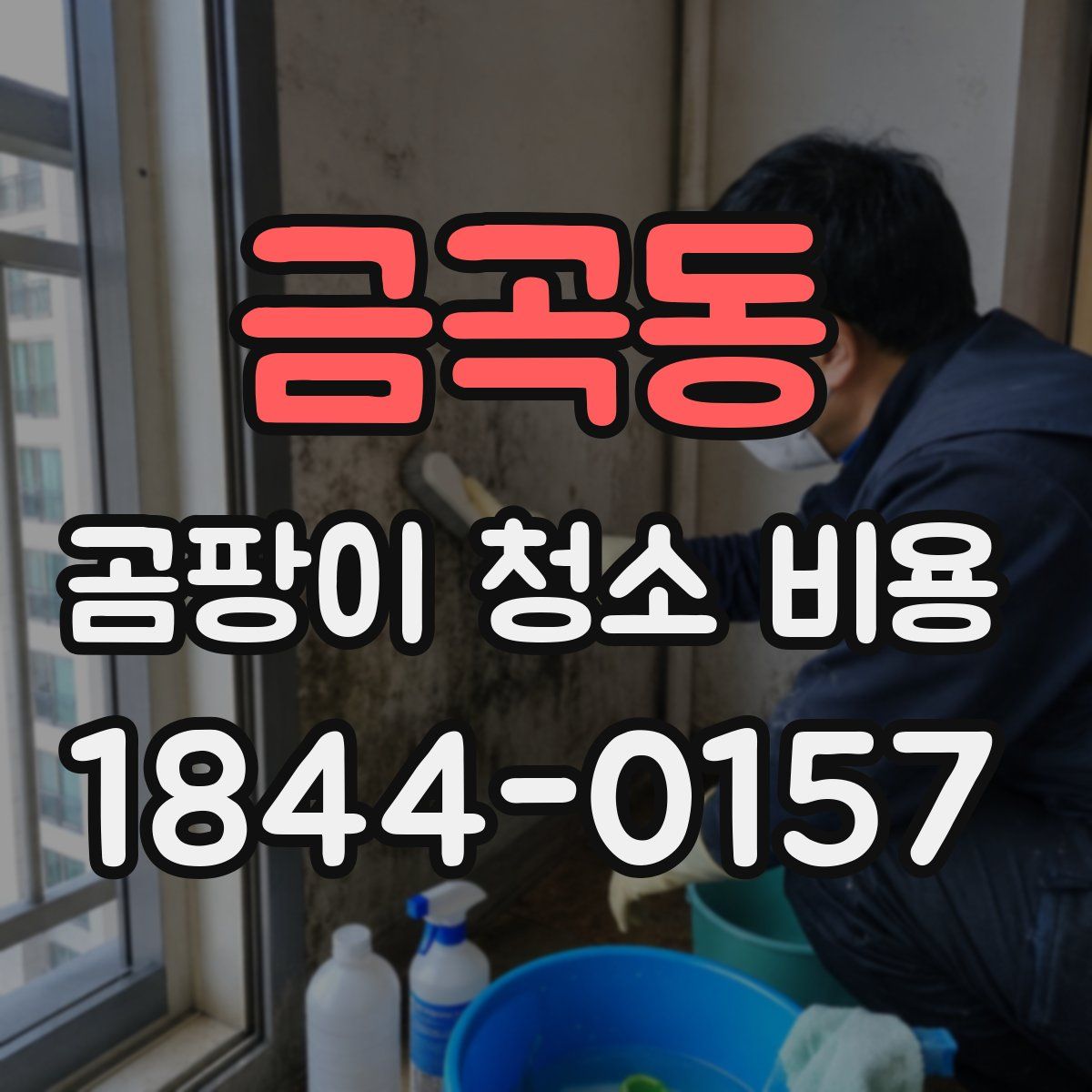 금곡동 곰팡이 청소 비용
