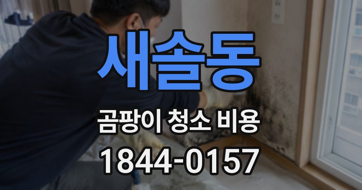 새솔동 곰팡이 청소 비용