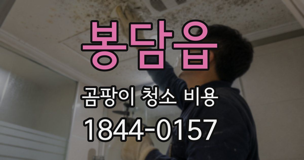 봉담읍 곰팡이 청소 비용