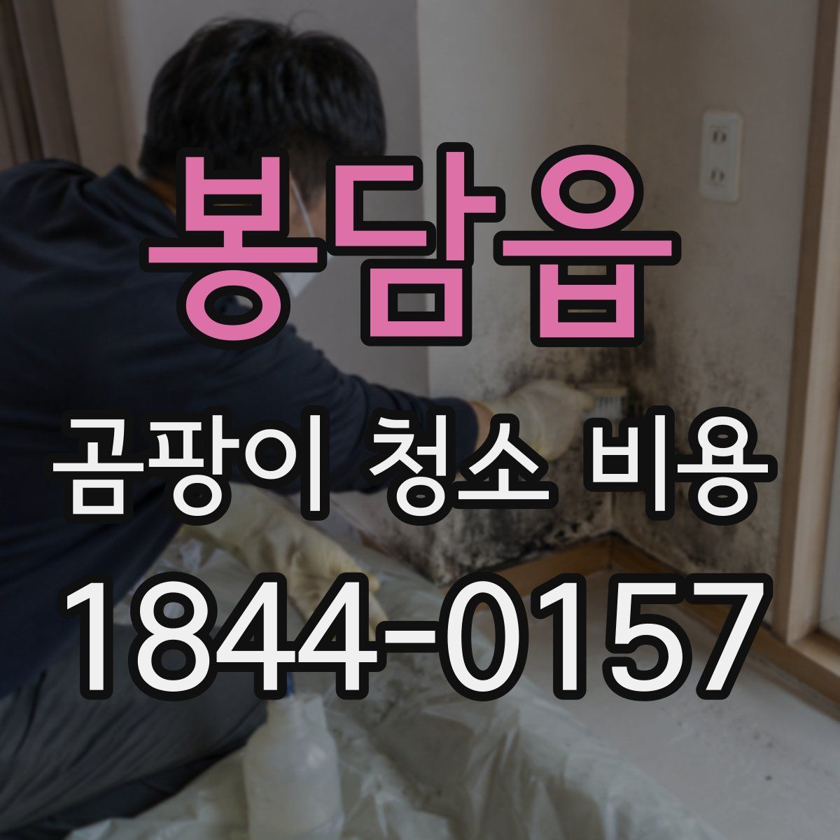봉담읍 곰팡이 청소 비용