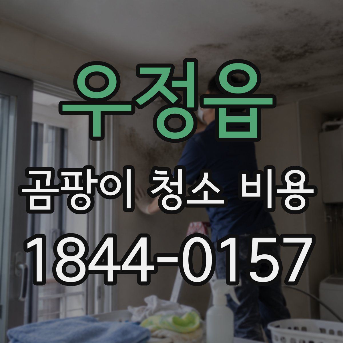 우정읍 곰팡이 청소 비용