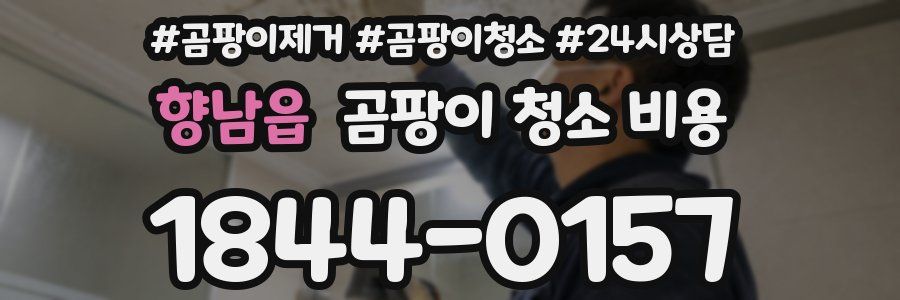 향남읍 곰팡이 청소 비용